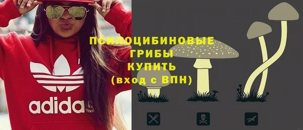 мескалин Надым